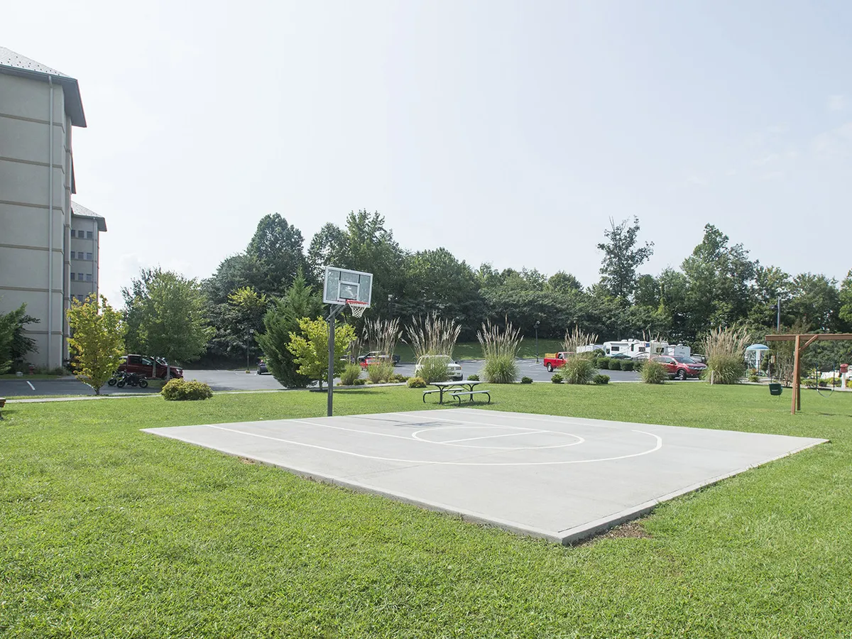 A sunlit basketball court surrounded by lush greenery and a park bench, this exterior image invokes the spirit of outdoor play and friendly competition. The natural setting makes it ideal for family games and group activities.