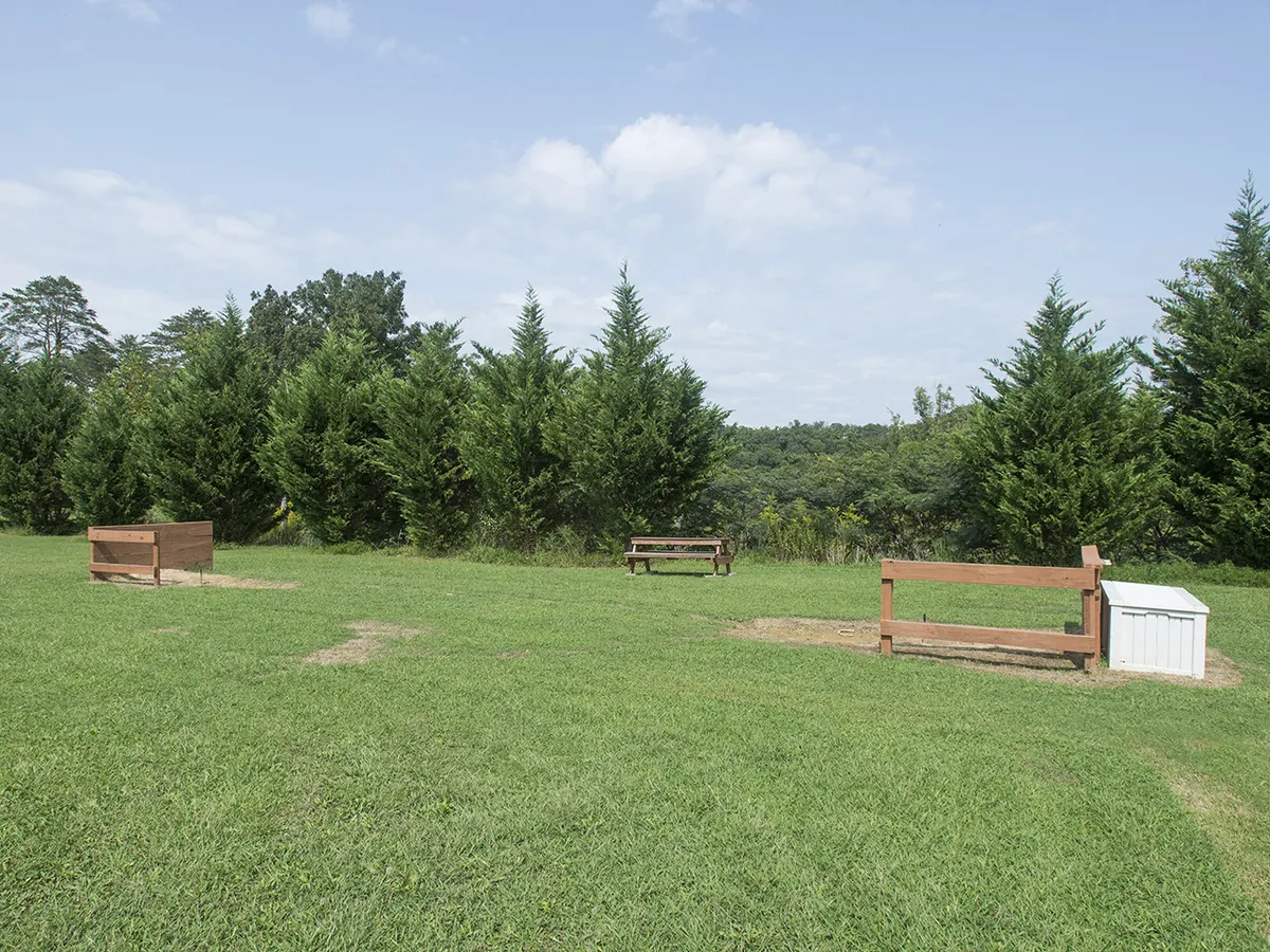 The photo features wooden benches set in a lush, green grassy area, framed by tall trees. The atmosphere is tranquil and perfect for relaxation or informal picnics. The benches invite groups to sit together in nature, sharing moments outdoors.